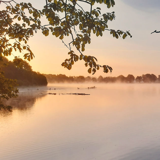 Balade matinale à la cité des oiseaux